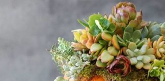 Поделки из тыквы фото 21