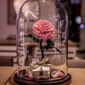 14 февраля что подарить девушке фото 010